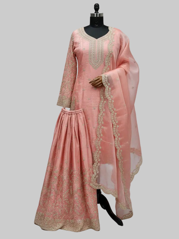 Embroidered Organza Party Set