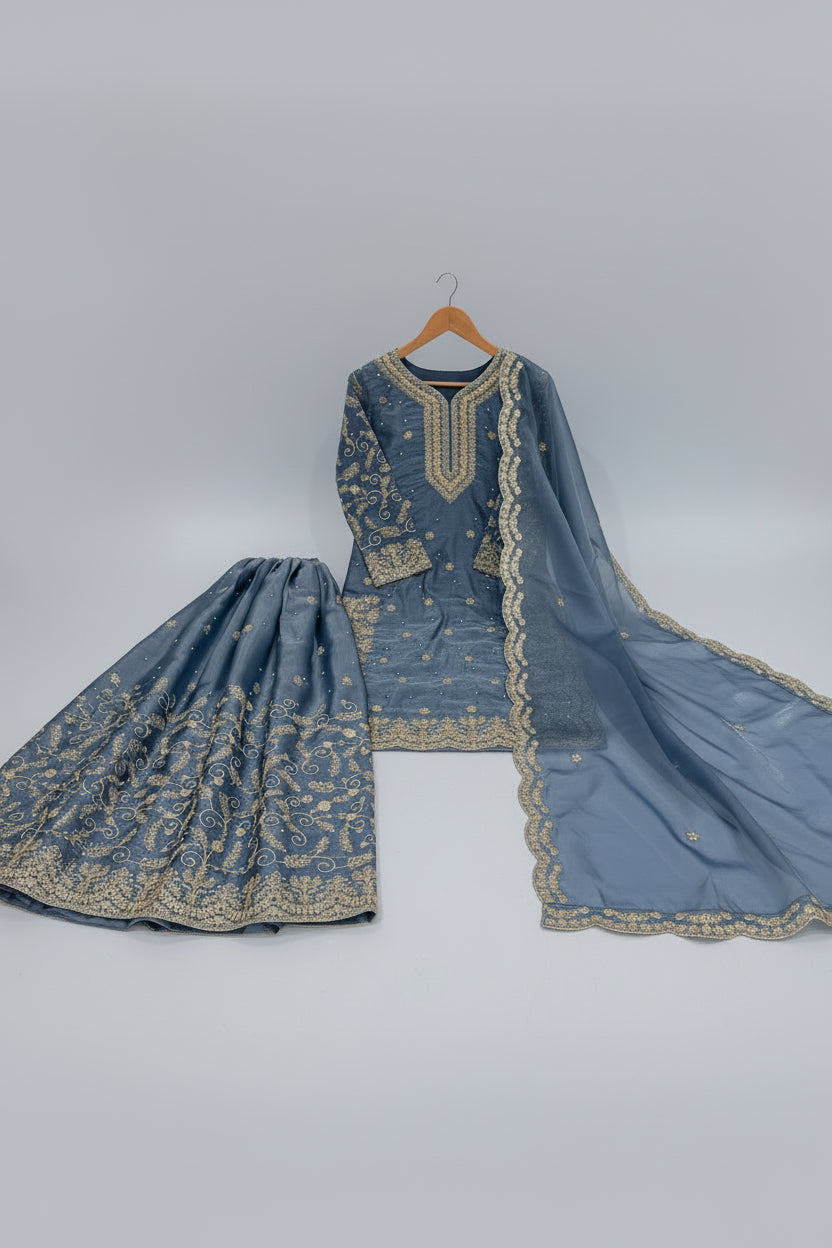 Embroidered Organza Party Set